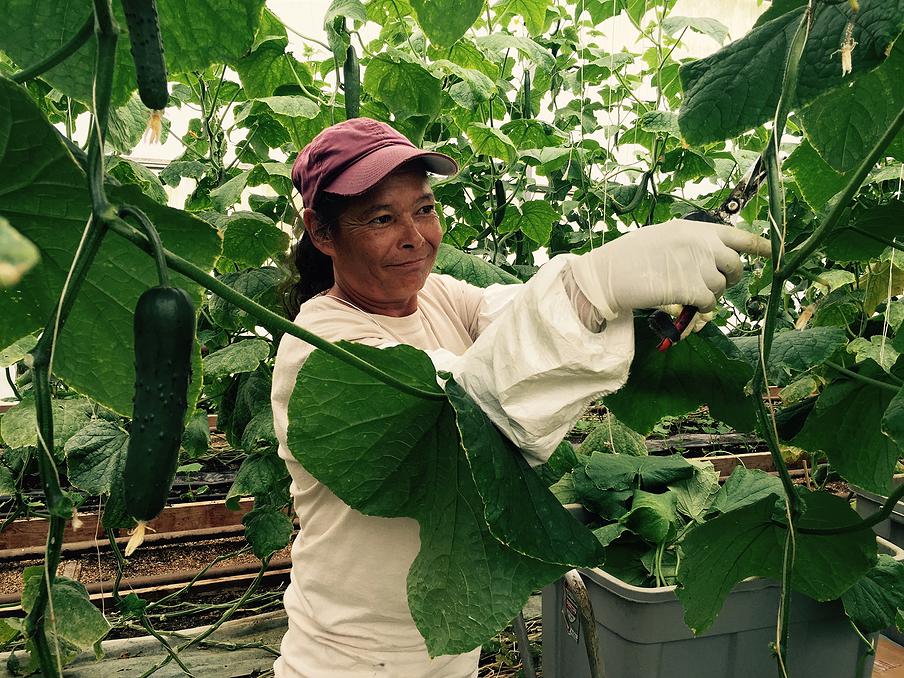 1d3131_0a258eaca65f4bed941dda8f7a376b08.jpg_srb_p_904_678_75_22_0.50_1.20_0.00_jpg_srb