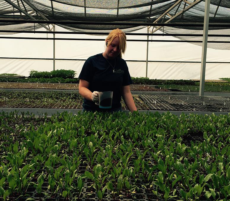 1d3131_12e6e7ebff864c5d9a193cc4f34a66e7.jpg_srb_p_776_678_75_22_0.50_1.20_0.00_jpg_srb