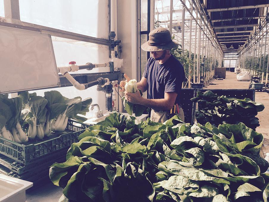 1d3131_4b509983244d4ba7a8e00808eb678f40.jpg_srb_p_904_678_75_22_0.50_1.20_0.00_jpg_srb