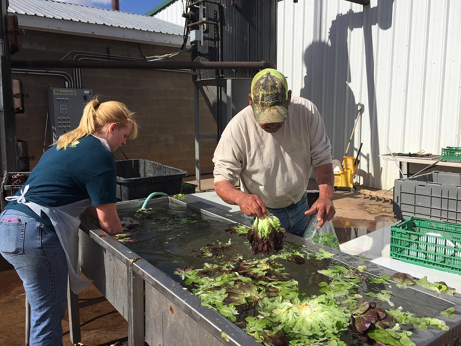 1d3131_5850654b9302415d9d532a87940bd5d4.jpg_srb_p_904_678_75_22_0.50_1.20_0.00_jpg_srb