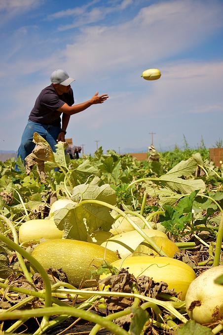 1d3131_b077c4bc6c134563b4ca81b1572dd514.jpg_srb_p_600_678_75_22_0.50_1.20_0.00_jpg_srb